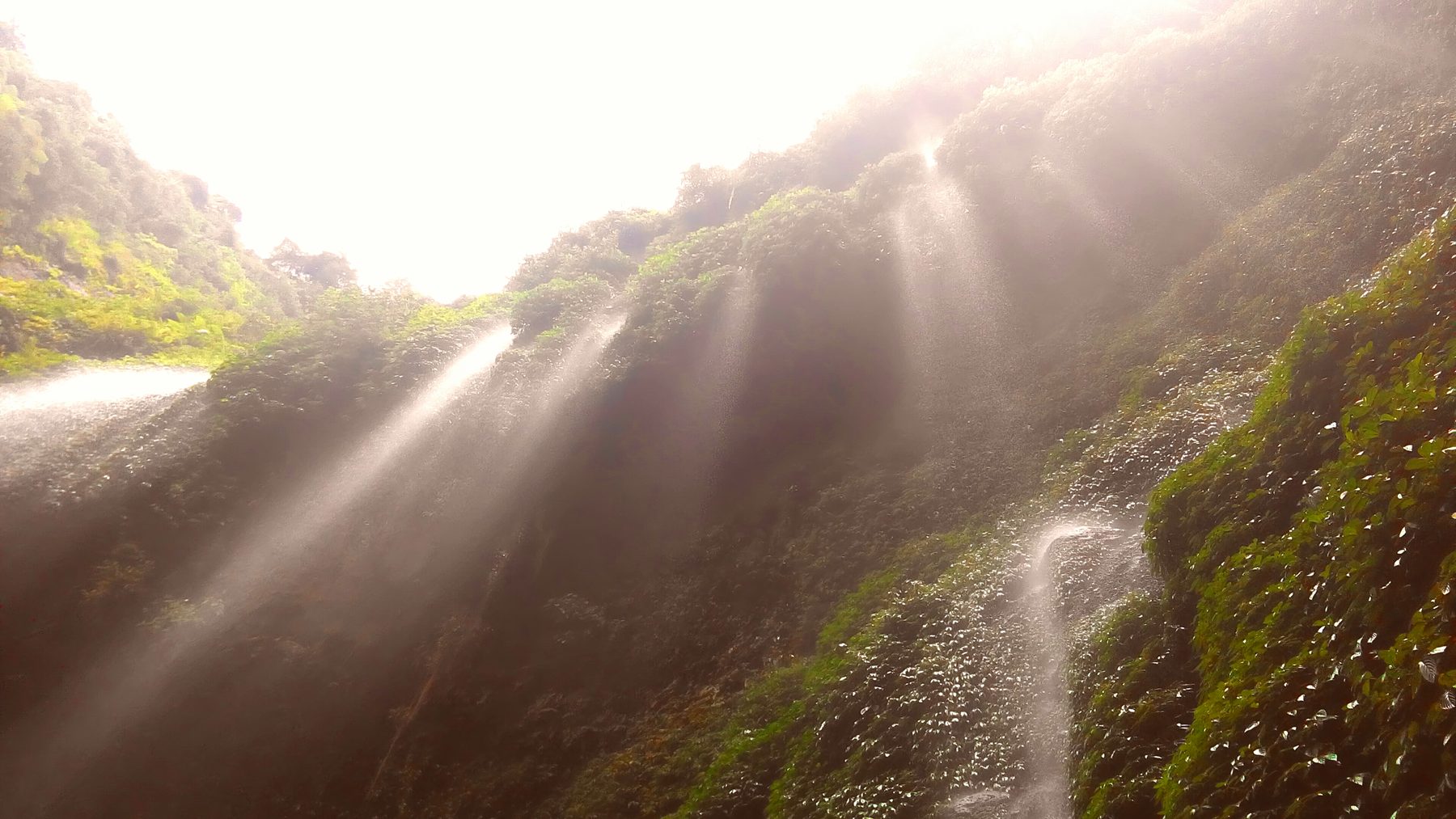 Madakaripura Waterfall landscape